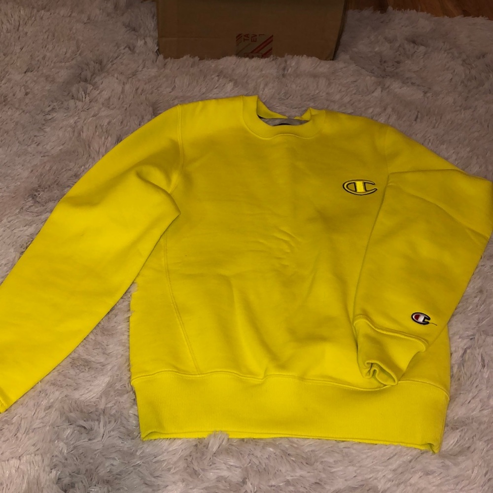 Champion sweater